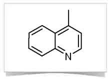 4-methylquinoline