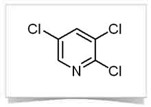 trichloropyridine