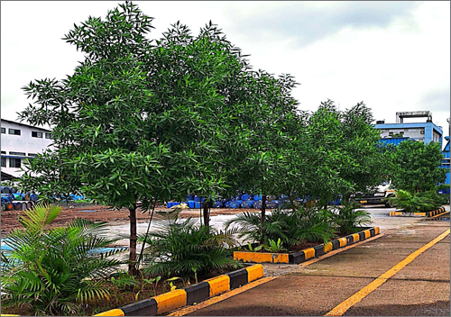 PRODUCTION FACILITIES