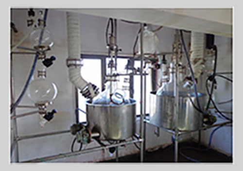 Pilot Plant